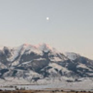 Meet your Posher, Timothy